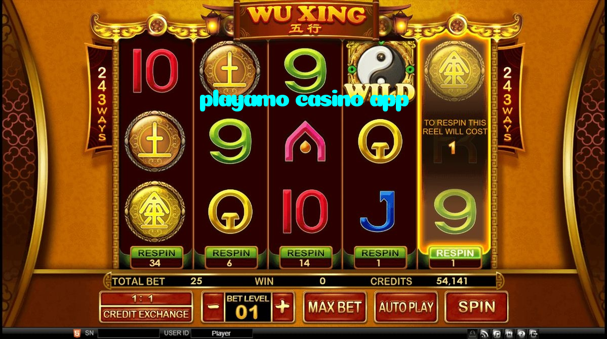 available types of playamo casino app bet including pre-match live express and system bets