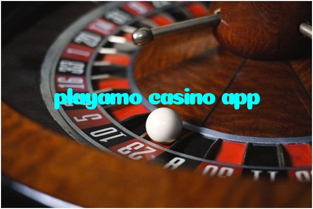 playamo casino app خوش آمدید بونس +600% پیشکش موبائل ایپ کے پروموشن سیکشن میں دکھائی دیتی ہے۔