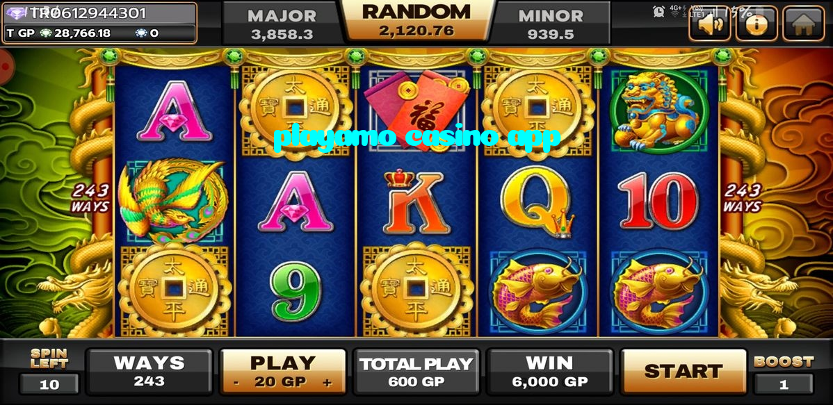 available types of playamo casino app bet including pre-match live express and system bets